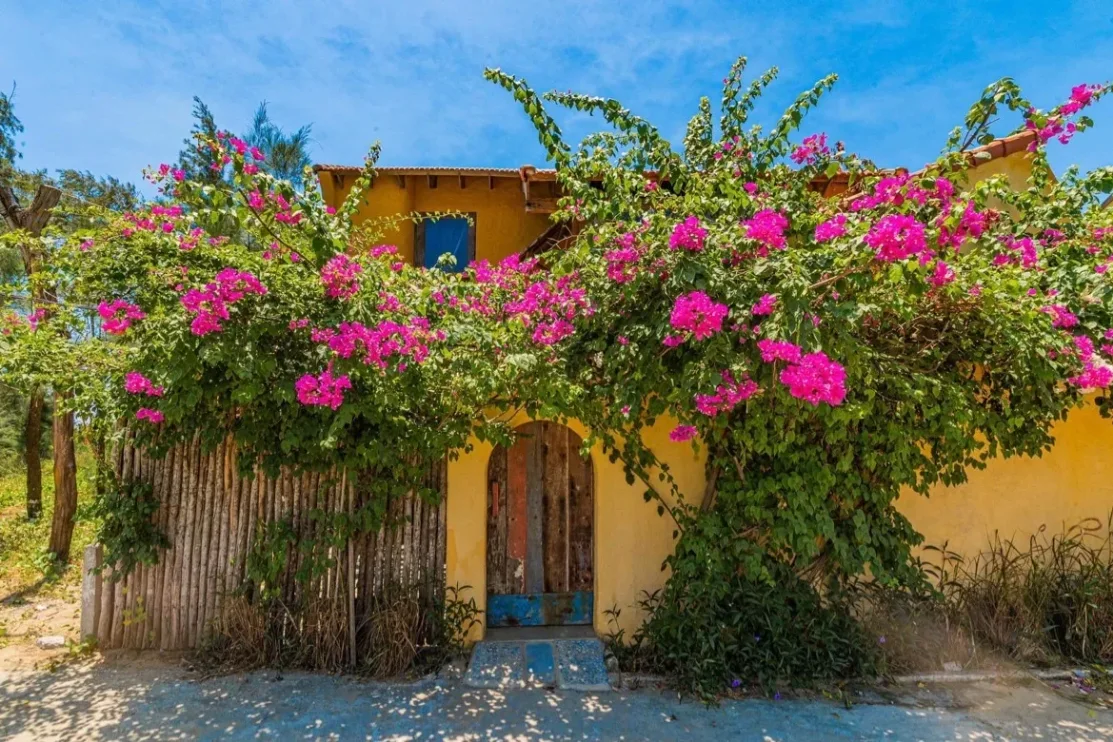 Flow House 3 Bedrooms At An Bang Beach Hoi An