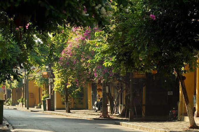 Sunrise in Hoi An – Discover the City’s Local Rhythm at the Start of the Day