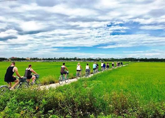 Đạp xe ở Hội An: Hành trình chậm qua những con đường miền quê