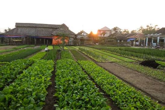 Khám phá làng nghề Hội An – Chạm vào nét đẹp truyền thống